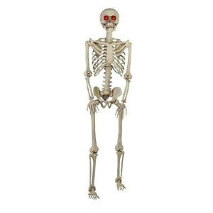 5FT POSE-N-STAY LIFE SIZE SKELETON - HALLOWEEN SKELETON - Eyes Light Red ** NEW